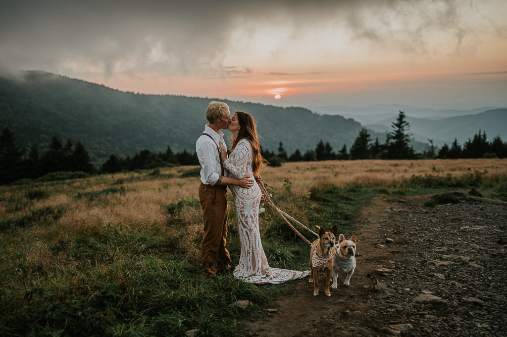 Couple with their dogs after eloping in the Blue Ridge Mountains